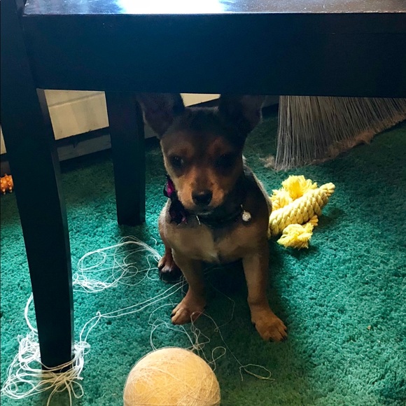 DJ - Picture 10 of 16